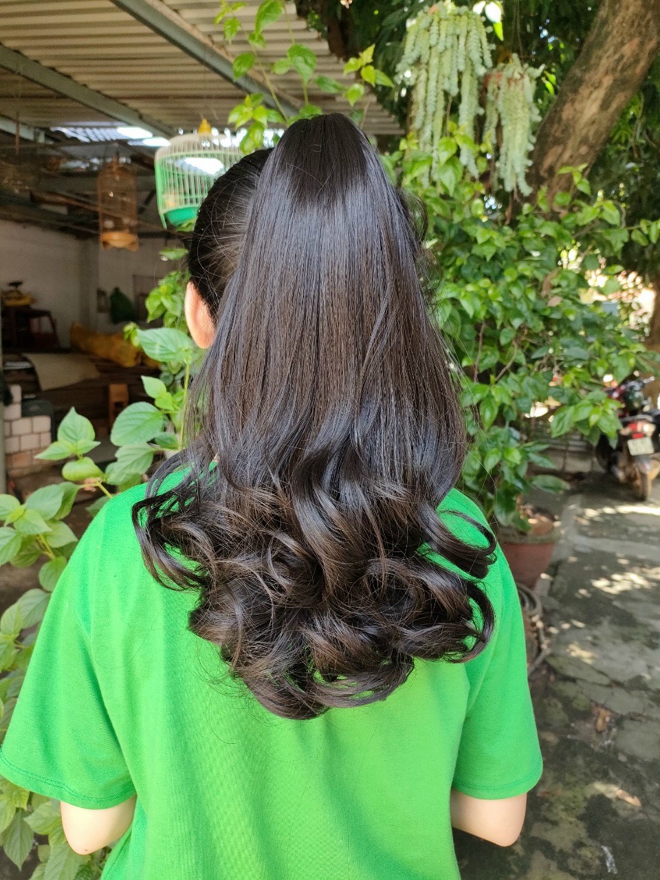 Tóc ngoạm N52